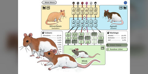 Cover image for NZ Rat Colour Genetics