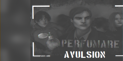 Cover image for Perfumare:Avulsion