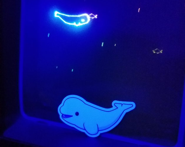 Cover image for Beluga Dreams