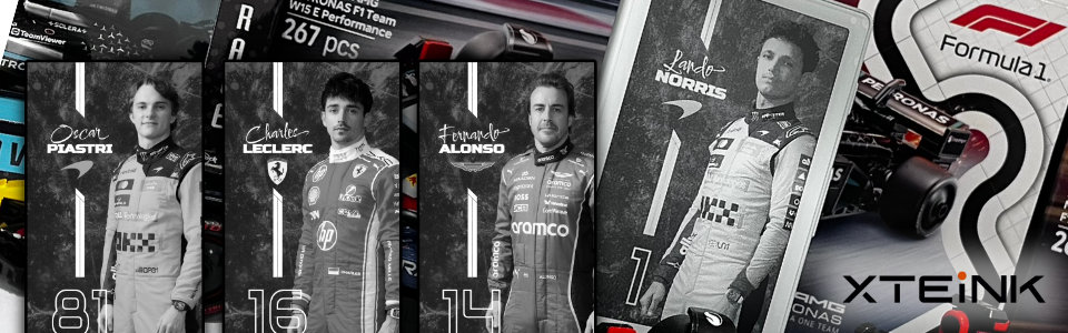 Formula1 driver covers (XTEINK X4)