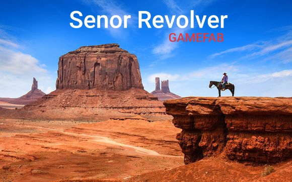Senor Revolver