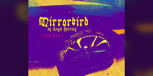 Cover image for Mirrorbird