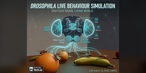 Cover image for Drosophila Live Behaviour Simulation