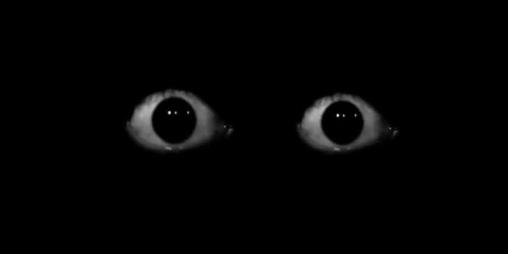Cover image for HORROR