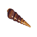 Auger Shell Auger Shell
