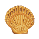 Atlantic Bay Scallop Atlantic Bay Scallop