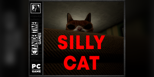 Cover image for Silly Cat