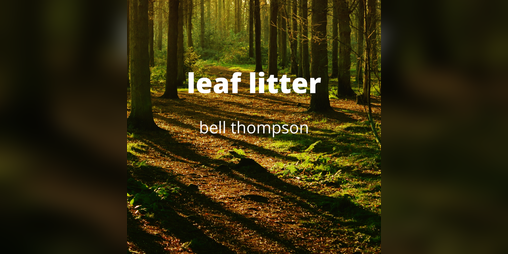 Cover image for Leaf Litter