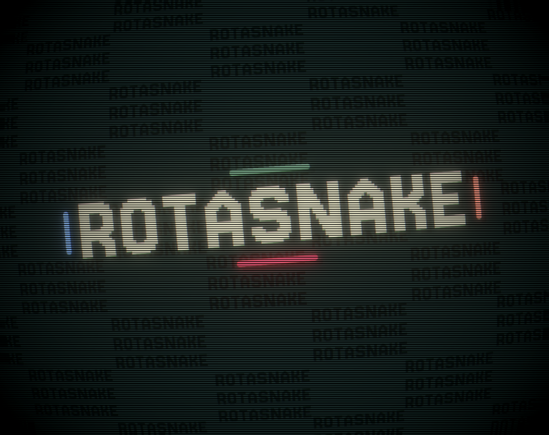 Cover image for Rotasnake