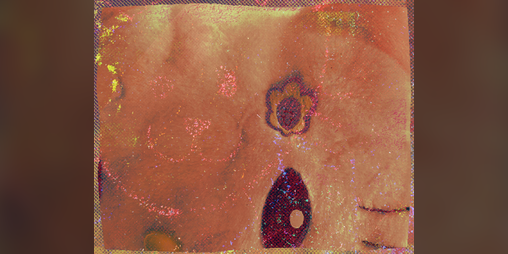 Cover image for i am not your cat (DEMO)