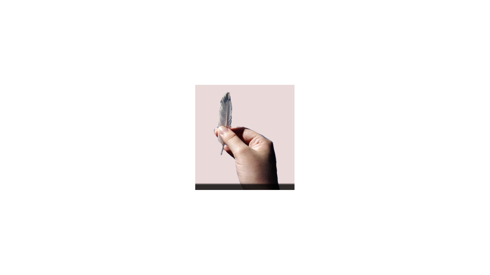 Cover image for Delicate Touch