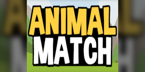 Cover image for Animal Match