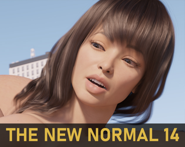 Cover image for The New Normal 14