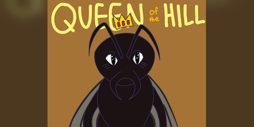 Cover image for Queen of the Hill (Game Jam)