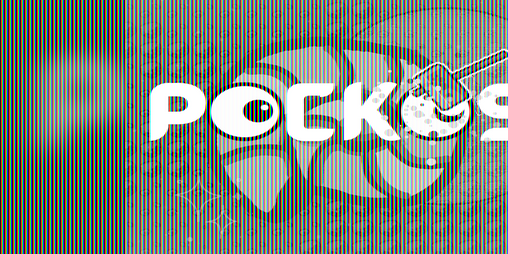 Cover image for Pockos