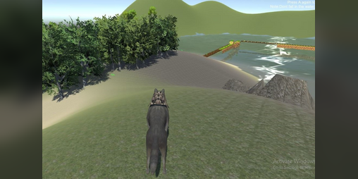 Cover image for Wolf In Jungle