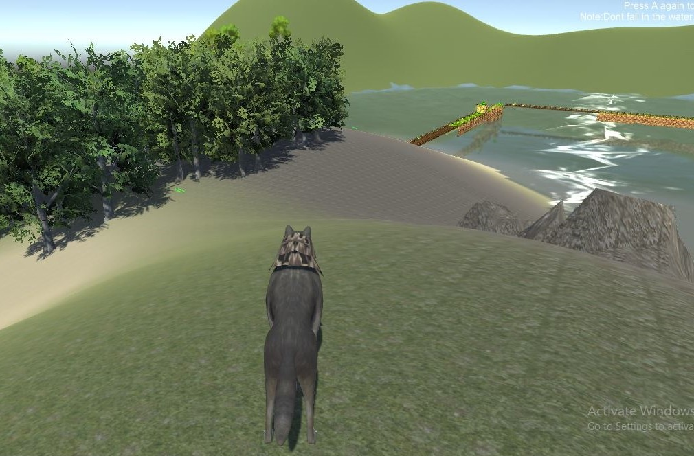 Cover image for Wolf In Jungle