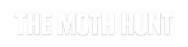 THE MOTH HUNT