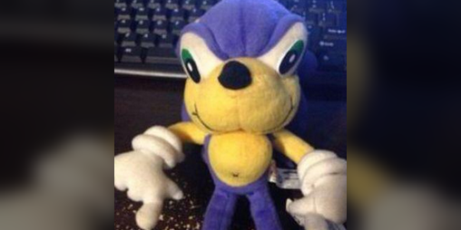 Cover image for Hedgehog the Sonic