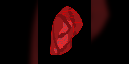 Cover image for Chrysalis