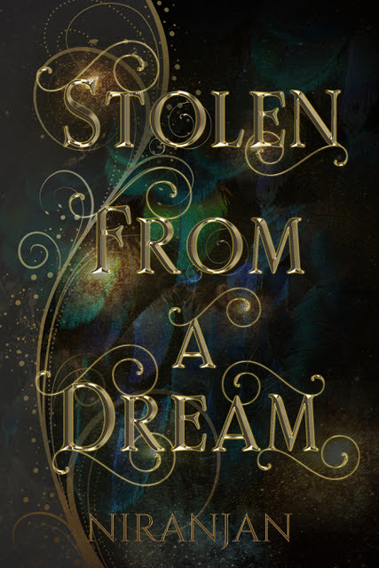 Cover image for Stolen from a Dream