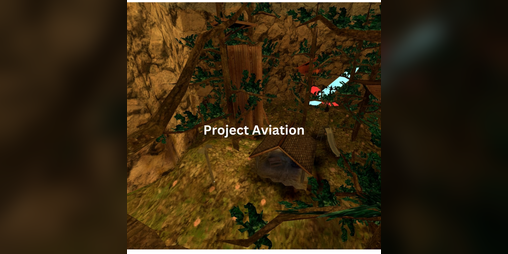 Cover image for Project Aviation