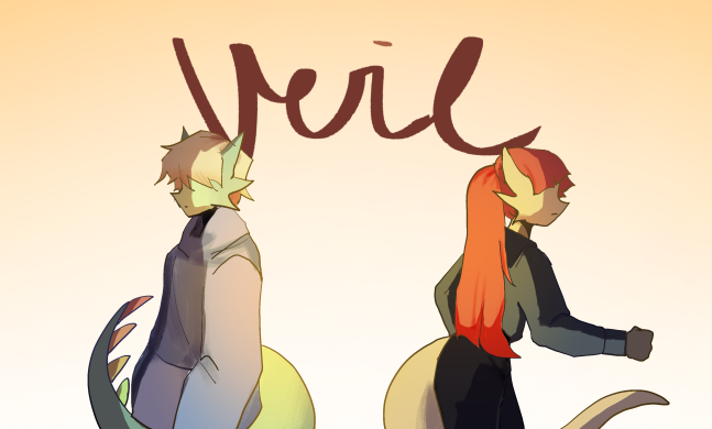 Cover image for veil
