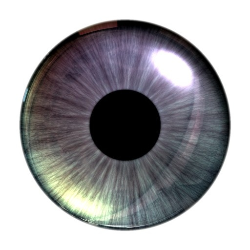 AuOptics