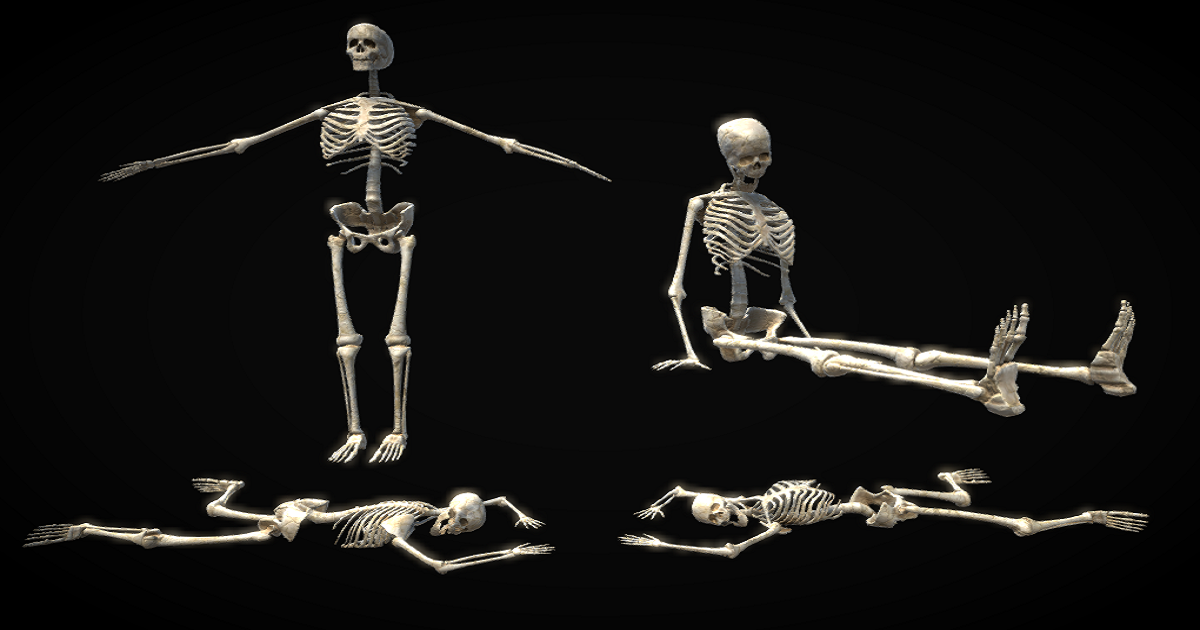 PBR Rigged Skeleton for Unity 3D