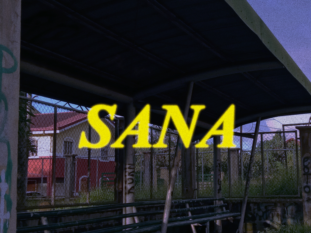 Cover image for Sana