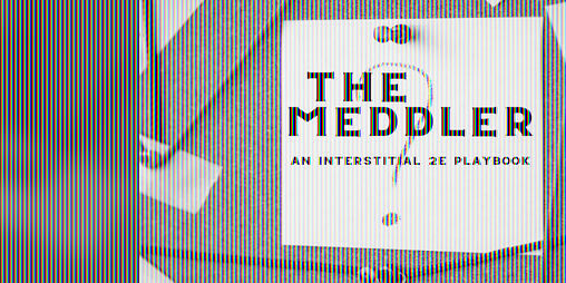 Cover image for The Meddler
