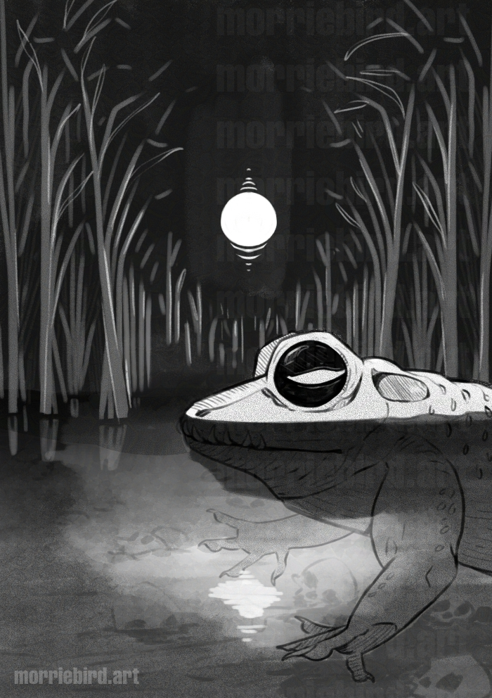Cover image for Where the Reeds Grow Red