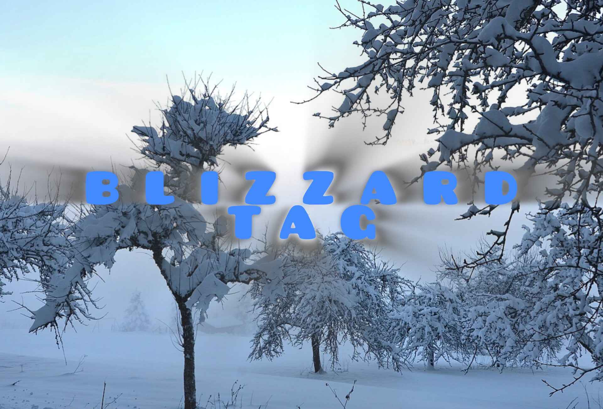 BLIZARRD TAG