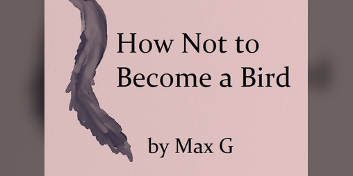 Cover image for How Not to Become a Bird