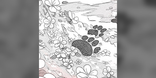 Cover image for RED