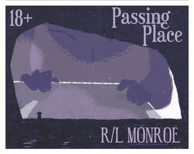 Cover image for Passing Place (18+)
