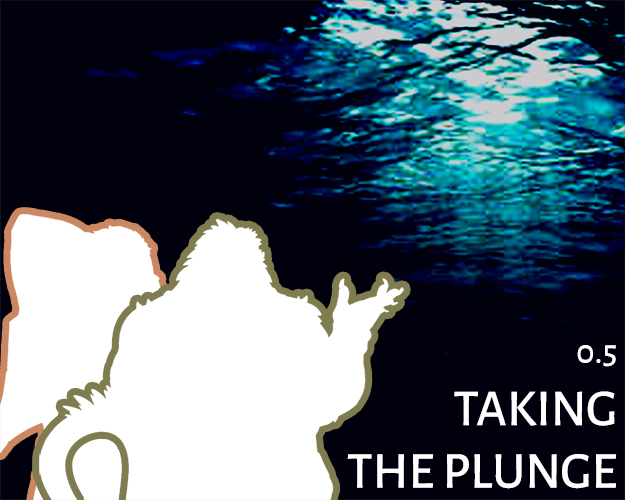 Cover image for Taking the Plunge