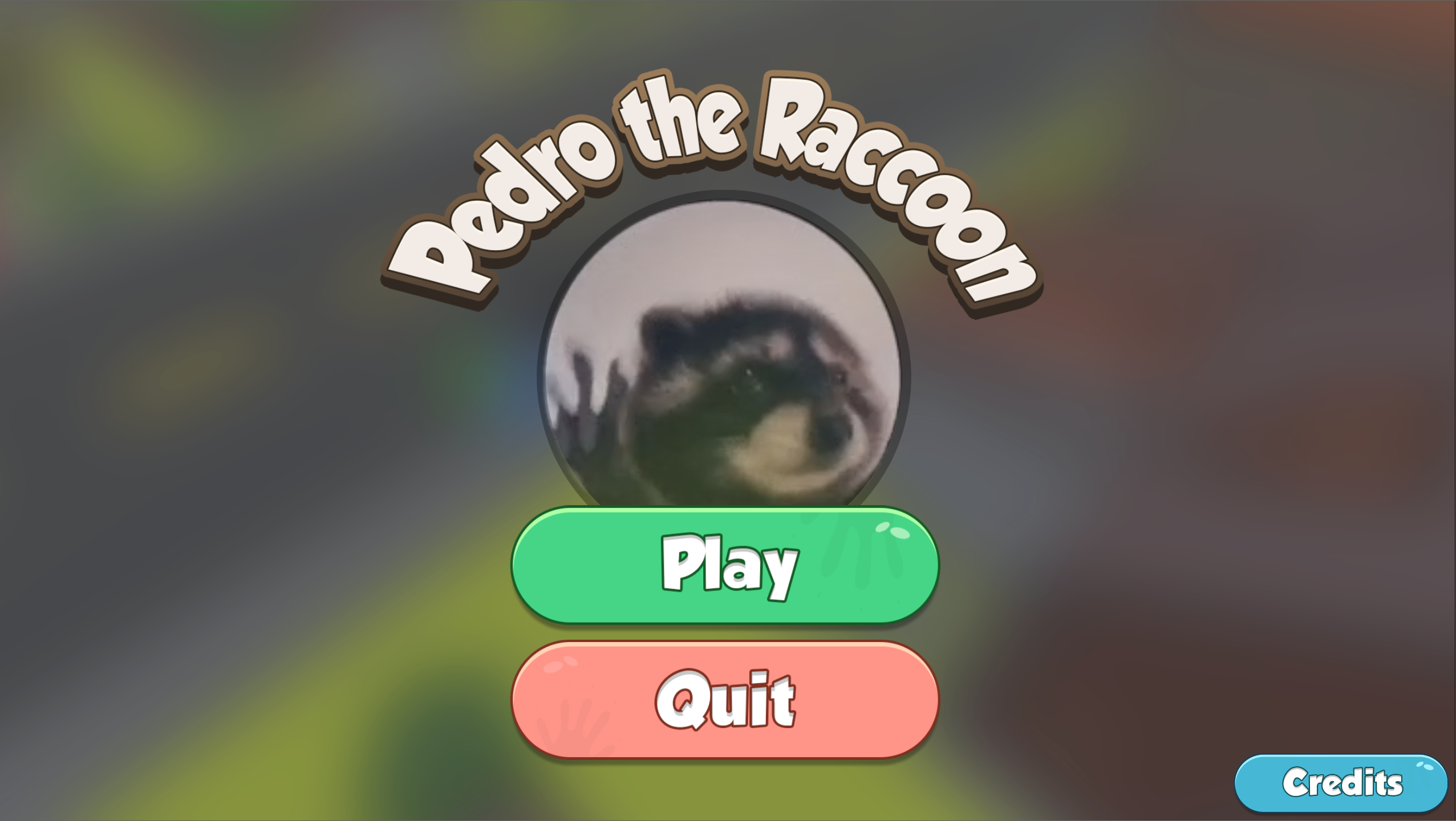 Pedro The Raccoon