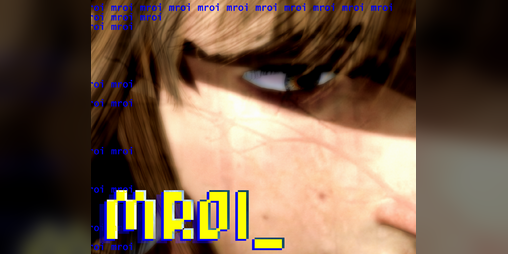 Cover image for MROI_