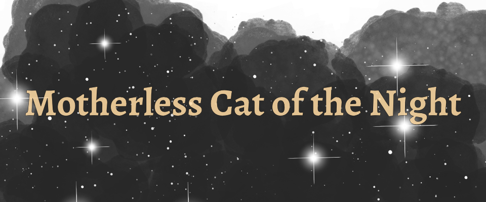 Motherless Cat of the Night