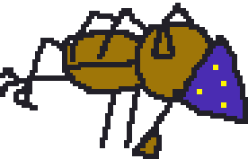 Bug brawl