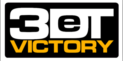 Cover image for 3d&t Victory Translated to English