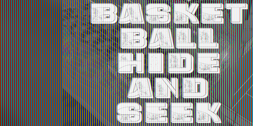 Cover image for Basketball Hide and Seek