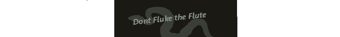 Dont Fluke the Flute