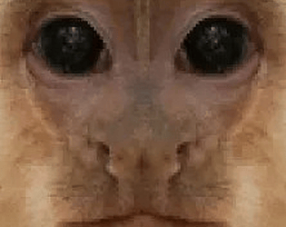 SLOTH RUNNERS