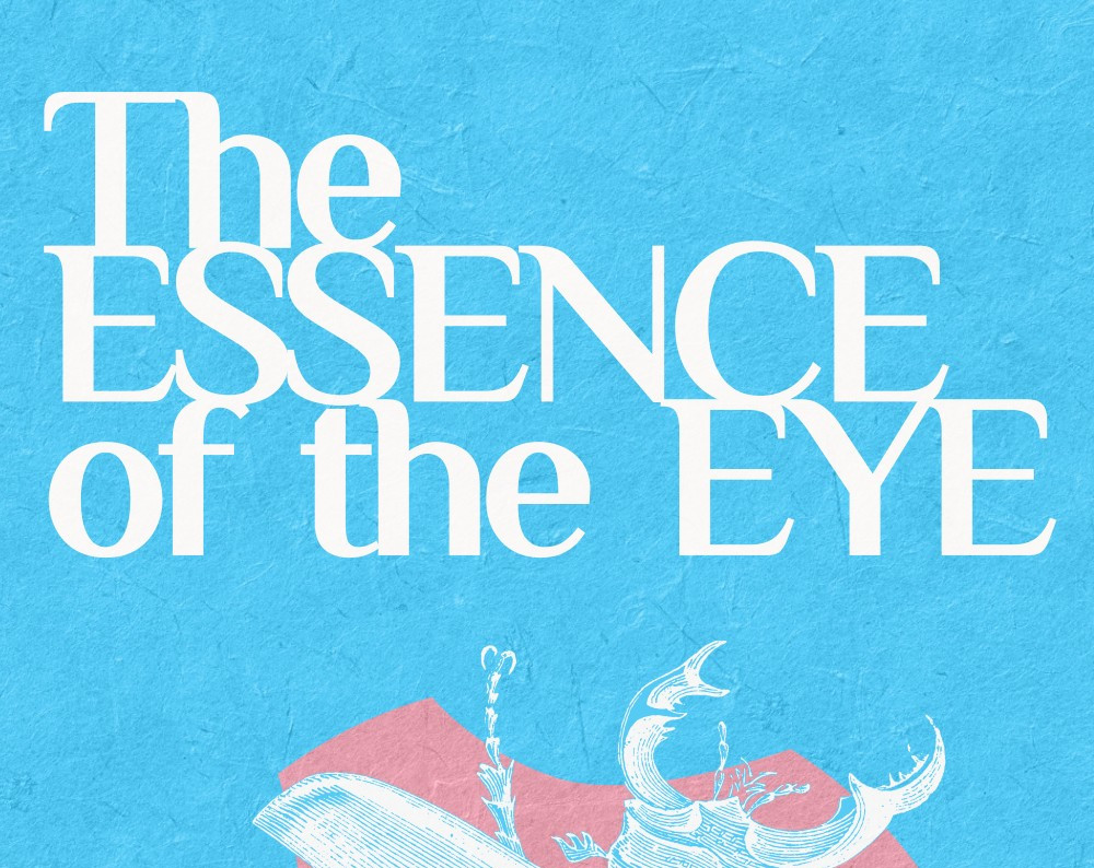 Cover image for The Essence of the Eye