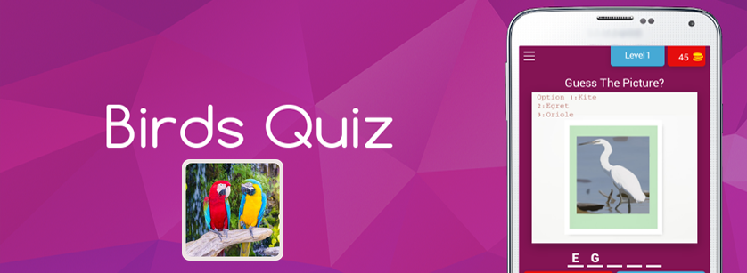 Birds Quiz