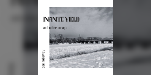 Cover image for infinite yield