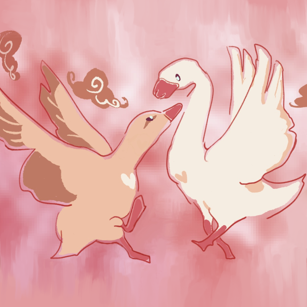 DuckGooseDuckGoose