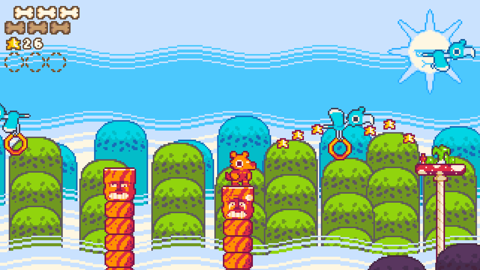Cover image for TAROLITO adventures